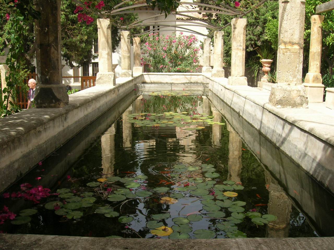 The Mallorcan Garden